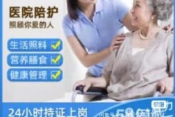 上海老人照护服务全解析:从需求匹配到专业选择